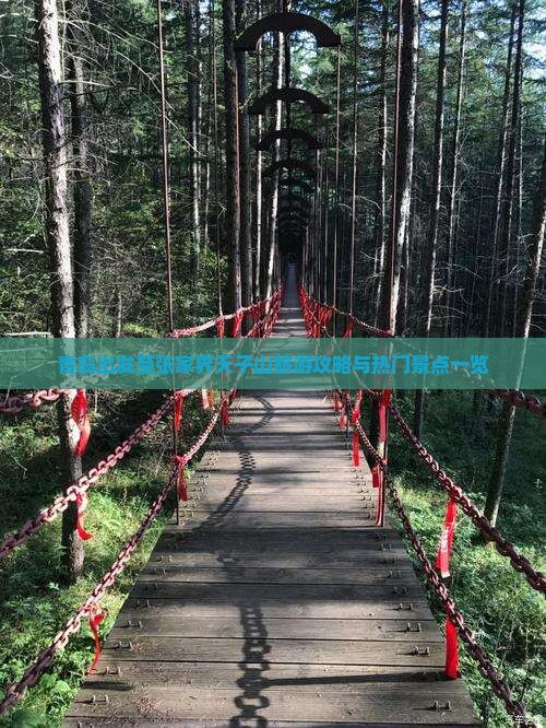 青岛出发至张家界天子山旅游攻略与热门景点一览