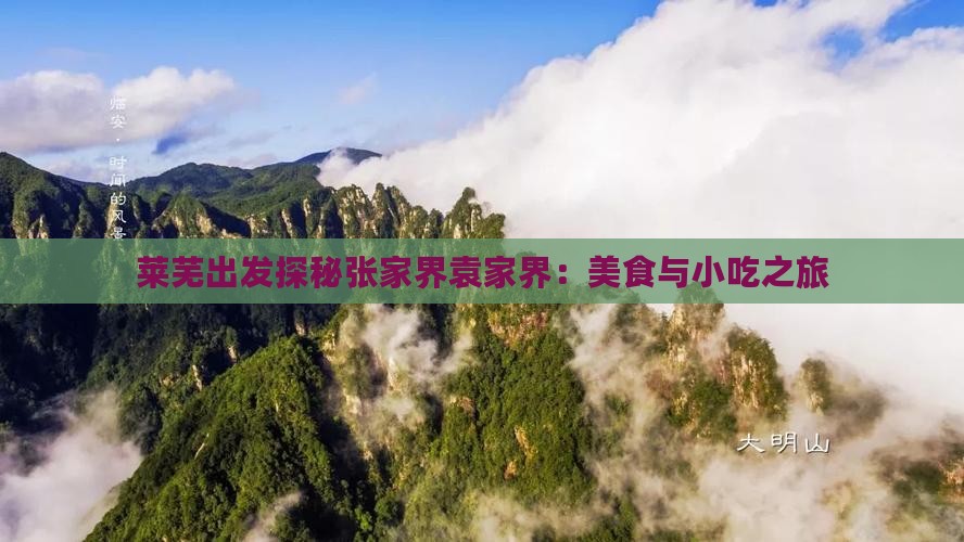 莱芜出发探秘张家界袁家界：美食与小吃之旅