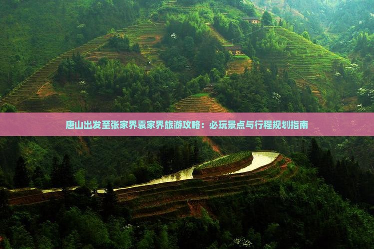 唐山出发至张家界袁家界旅游攻略：必玩景点与行程规划指南