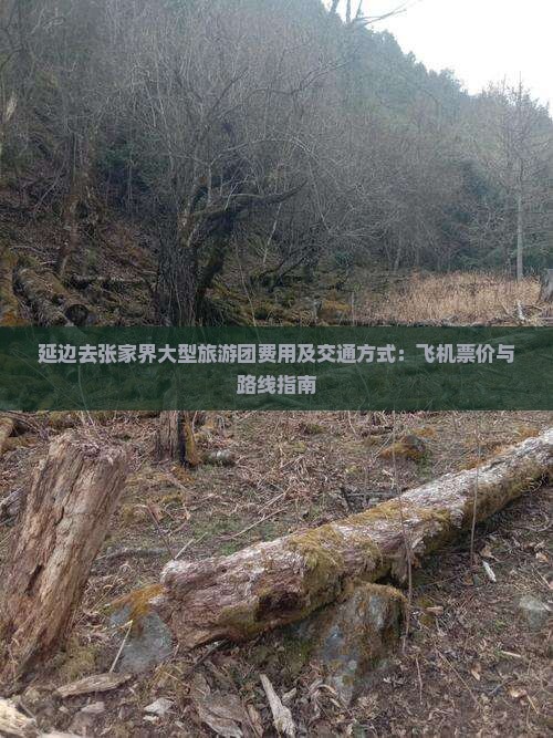 延边去张家界大型旅游团费用及交通方式：飞机票价与路线指南