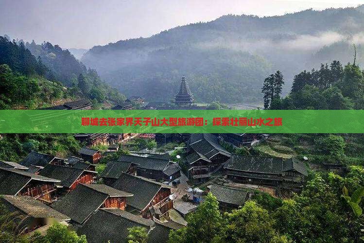 聊城去张家界天子山大型旅游团:探索壮丽山水之旅 聊城去张家界天子山大型旅游团:探索壮丽山水之旅