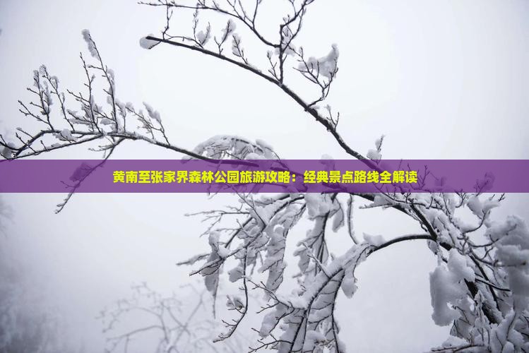 黄南至张家界森林公园旅游攻略：经典景点路线全解读
