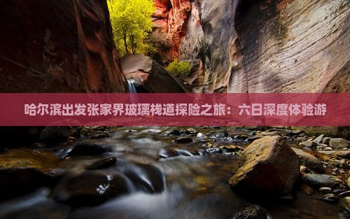 哈尔滨出发张家界玻璃栈道探险之旅:六日深度体验游 哈尔滨出发张家界玻璃栈道探险之旅:六日深度体验游