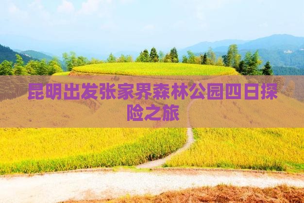 昆明出发张家界森林公园四日探险之旅