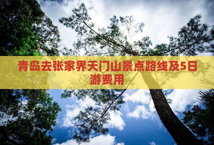 青岛去张家界天门山景点路线及5日游费用