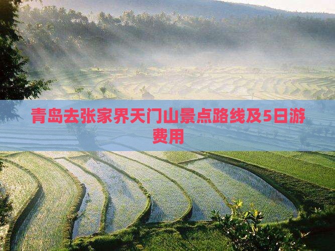 青岛去张家界天门山景点路线及5日游费用
