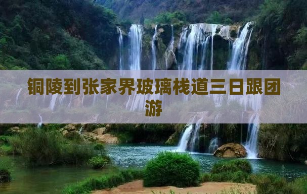 铜陵到张家界玻璃栈道三日跟团游
