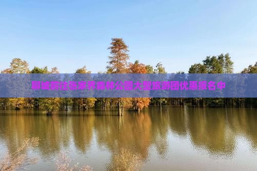 聊城前往张家界森林公园大型旅游团优惠报名中