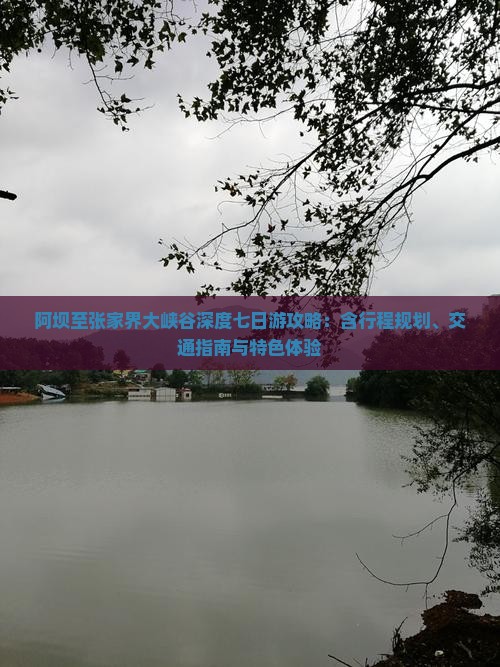 阿坝至张家界大峡谷深度七日游攻略：含行程规划、交通指南与特色体验