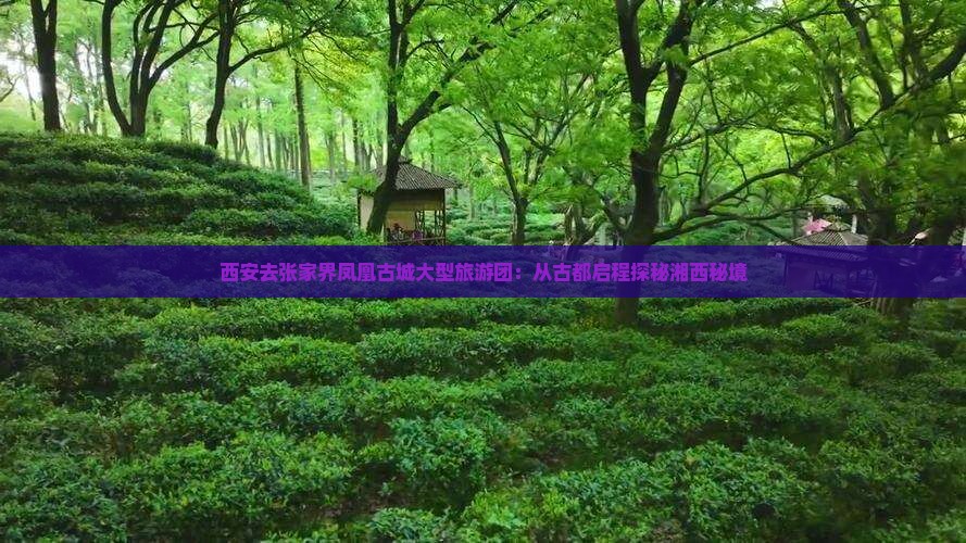 西安去张家界凤凰古城大型旅游团：从古都启程探秘湘西秘境