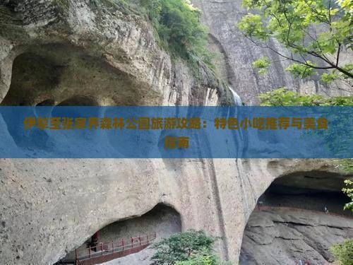 伊犁至张家界森林公园旅游攻略：特色小吃推荐与美食指南