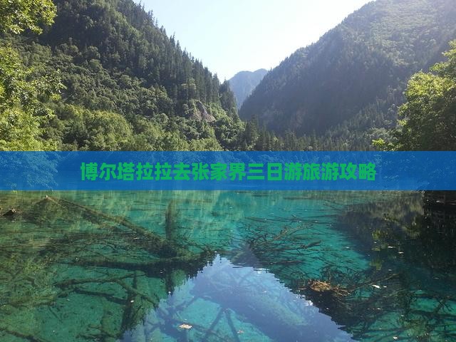 博尔塔拉拉去张家界三日游旅游攻略