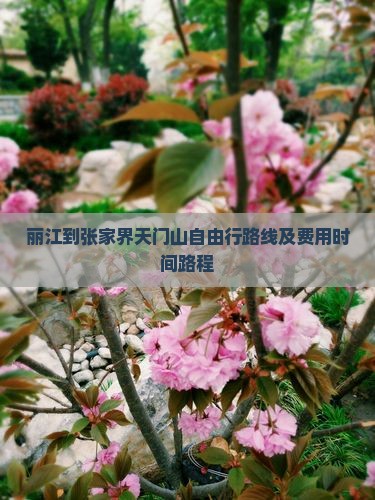 丽江到张家界天门山自由行路线及费用时间路程