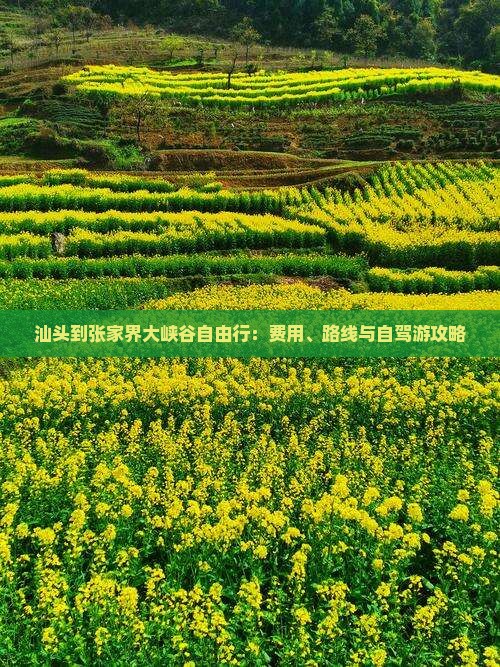 汕头到张家界大峡谷自由行：费用、路线与自驾游攻略