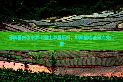 鄢陵县去张家界七星山哪里玩好，鄢陵县哪些景点免门票