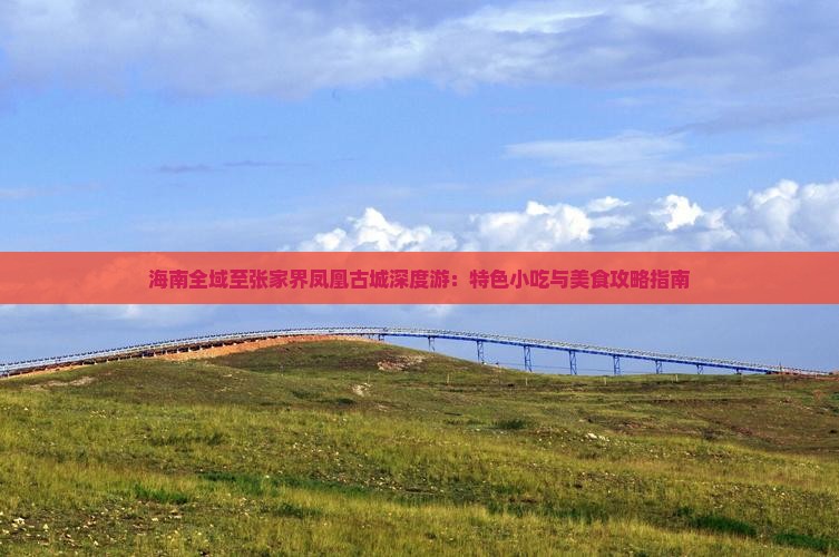 海南全域至张家界凤凰古城深度游：特色小吃与美食攻略指南