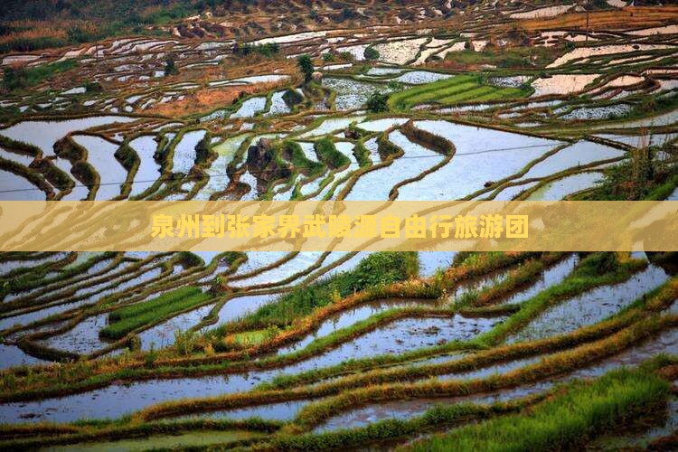 泉州到张家界武陵源自由行旅游团