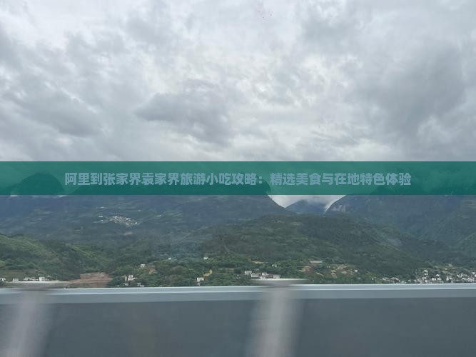 阿里到张家界袁家界旅游小吃攻略：精选美食与在地特色体验