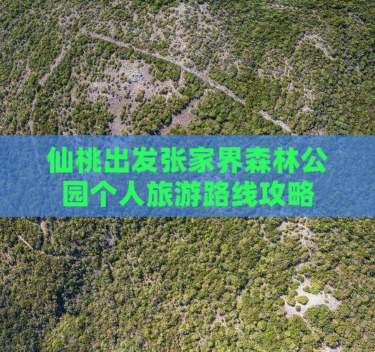 仙桃出发张家界森林公园个人旅游路线攻略