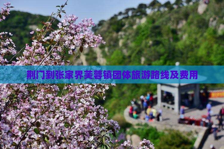 荆门到张家界芙蓉镇团体旅游路线及费用