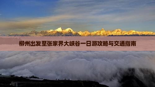 柳州出发至张家界大峡谷一日游攻略与交通指南