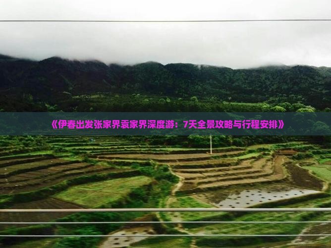 《伊春出发张家界袁家界深度游：7天全景攻略与行程安排》