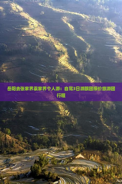 岳阳去张家界袁家界个人游：自驾3日游跟团报价旅游团行程