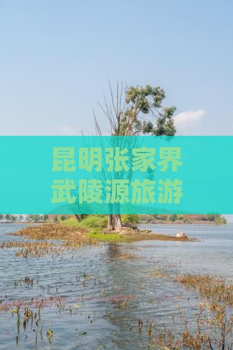 昆明张家界武陵源旅游美食小吃攻略