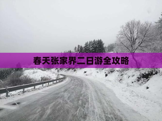 春天张家界二日游全攻略
