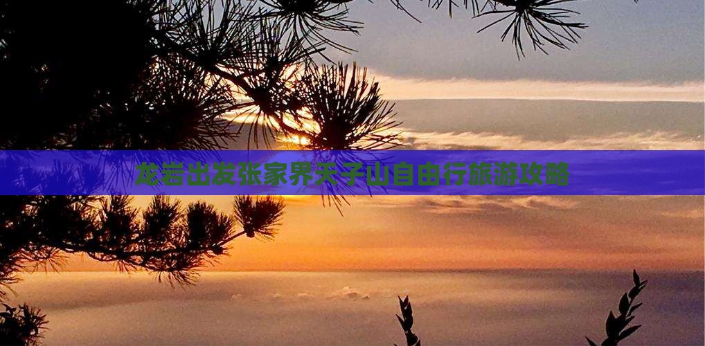 龙岩出发张家界天子山自由行旅游攻略