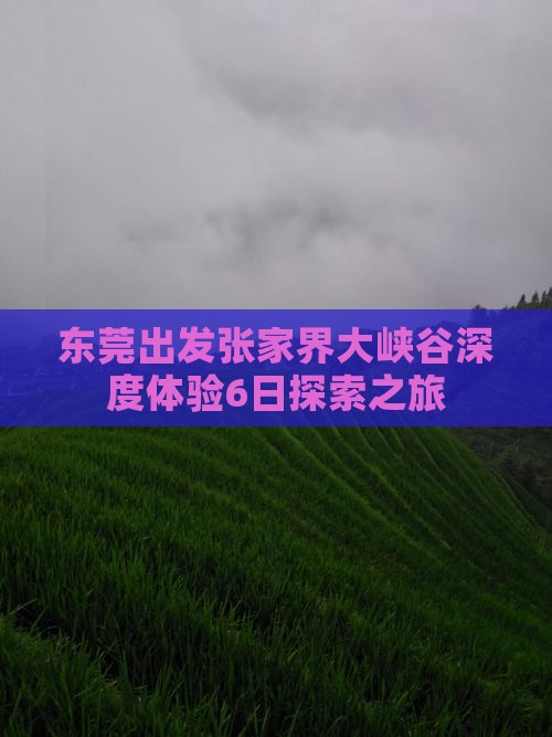 东莞出发张家界大峡谷深度体验6日探索之旅 东莞出发张家界大峡谷深度体验6日探索之旅