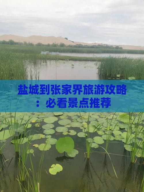 盐城到张家界旅游攻略：必看景点推荐