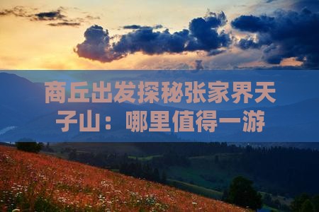 商丘出发探秘张家界天子山：哪里值得一游