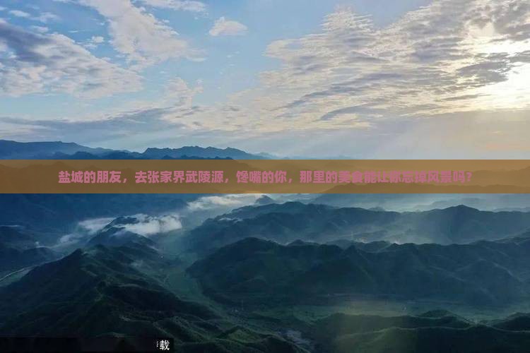 盐城去张家界武陵源旅游小吃