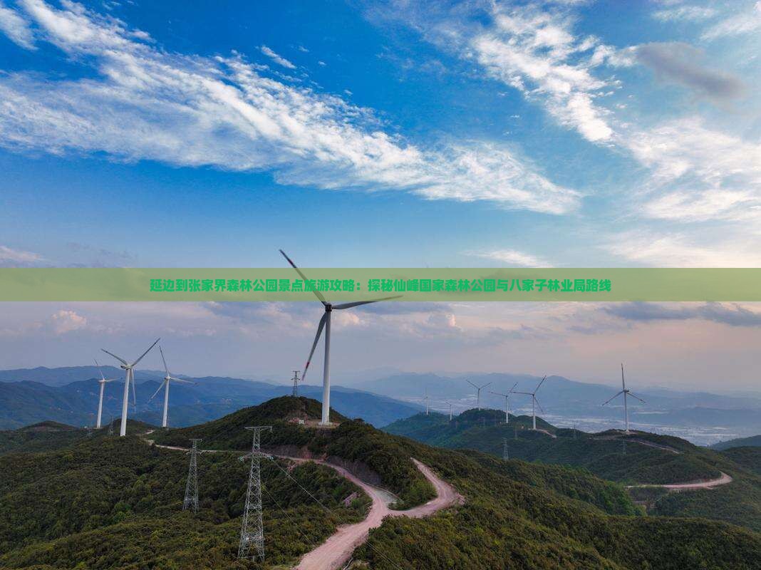 延边到张家界森林公园景点