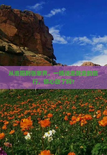 洛阳去张家界团体旅游
