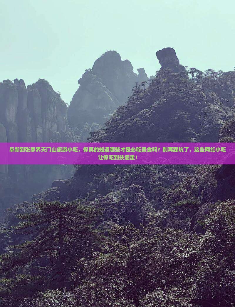 阜新到张家界天门山旅游小吃
