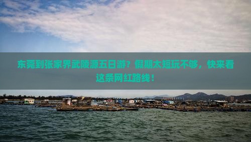 东莞到张家界武陵源五日游