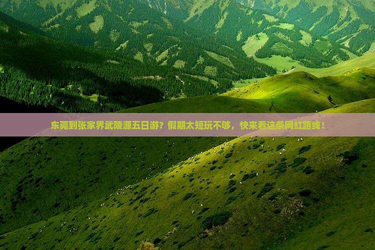 东莞到张家界武陵源五日游