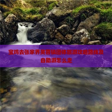 宝鸡去张家界芙蓉镇团体旅游