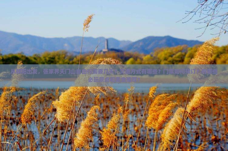 朝阳到张家界天门山自由行