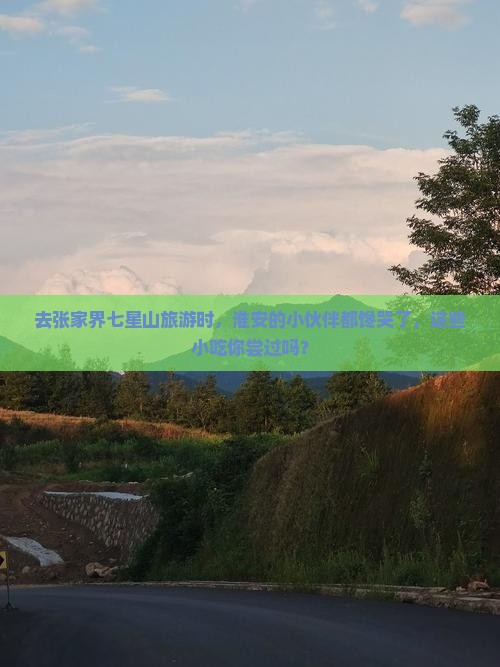淮安去张家界七星山旅游小吃