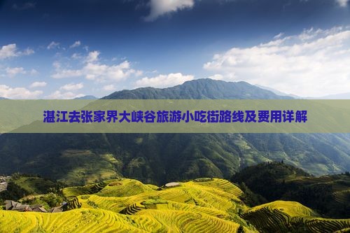 湛江去张家界大峡谷旅游小吃