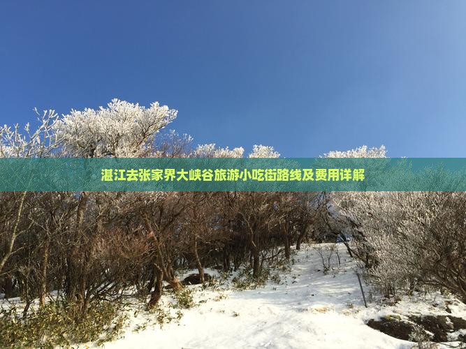 湛江去张家界大峡谷旅游小吃