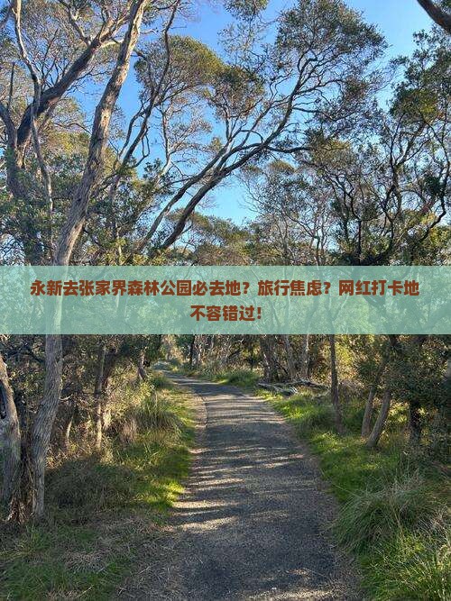 永新去张家界森林公园必去地