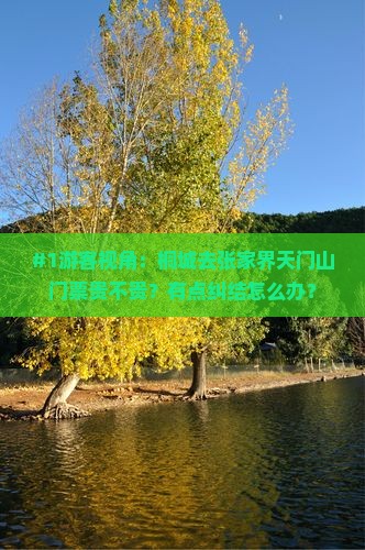 桐城到张家界天门山门票 桐城到张家界天门山门票