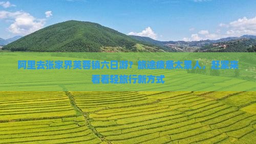 阿里去张家界芙蓉镇六日游
