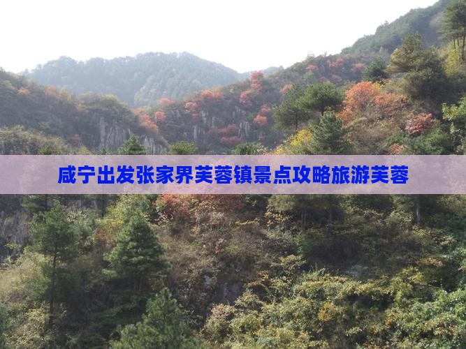 咸宁去张家界芙蓉镇景点