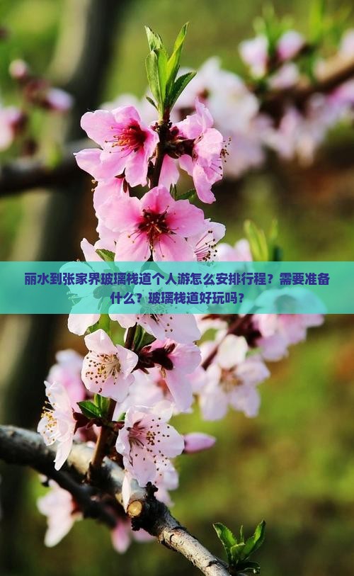 丽水到张家界玻璃栈道个人游
