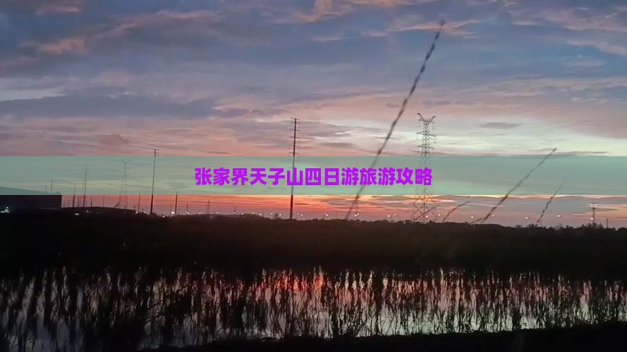 绥化去张家界天子山四日游